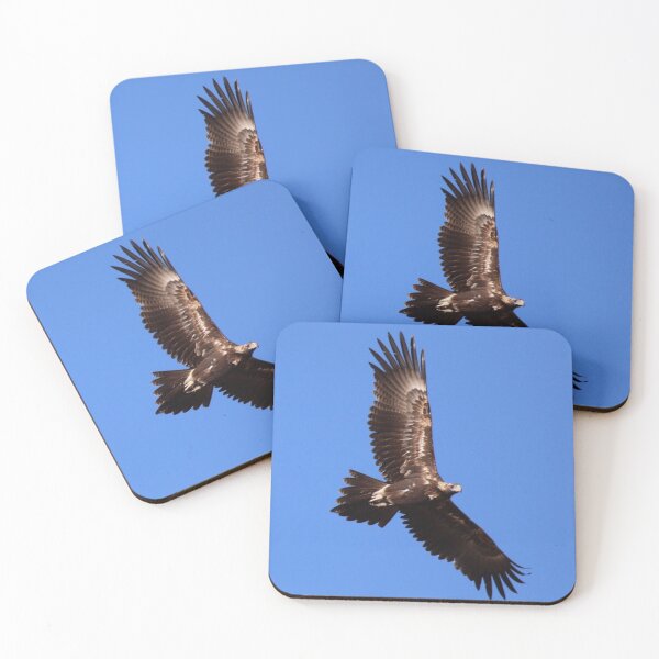 Item preview, Wedge-tailed Eagle designed and sold by Wanderingeagles.