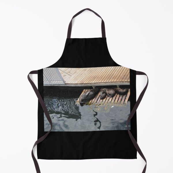 Item preview, Patterns and seals designed and sold by BiodiversityRocks.