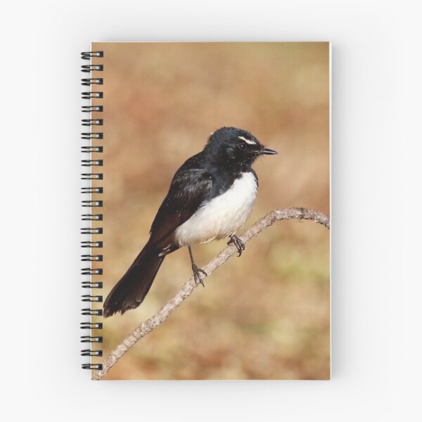 Item preview, Willie Wagtail  designed and sold by Wanderingeagles.