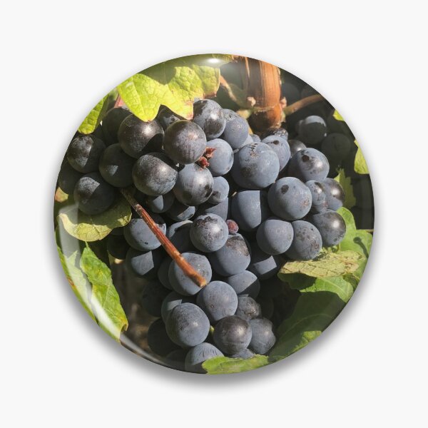 Item preview, Grapes in the Sun designed and sold by BlueFoxCreative.