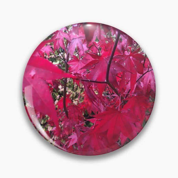 Item preview, Japanese Maple in the Fall designed and sold by BlueFoxCreative.