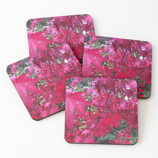 Item preview, Japanese Maple in the Fall designed and sold by BlueFoxCreative.