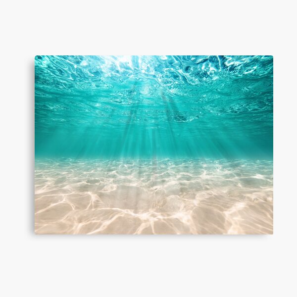 Item preview, Underwater sandy ocean floor designed and sold by ChestnutAlley.