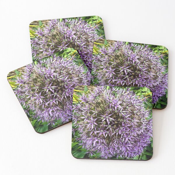 Item preview, Purple Allium Giganteum (Ornamental Onion) Flower designed and sold by shahramroj.