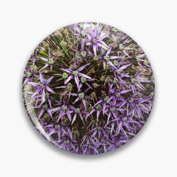 Item preview, Purple Allium Giganteum (Ornamental Onion) Flower designed and sold by shahramroj.