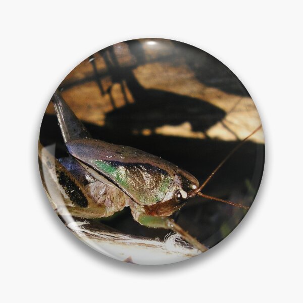 Item preview, Alfred and his shadow designed and sold by BiodiversityRocks.