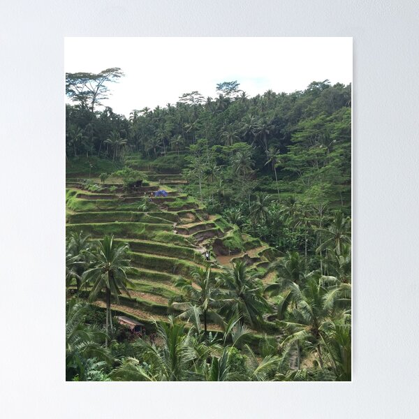 Item preview, Bali Rice Terrace  designed and sold by HolidayTees.