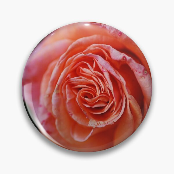 Item preview, Rose Orange Pink Splash designed and sold by Joy Watson - Natural Light Photography .
