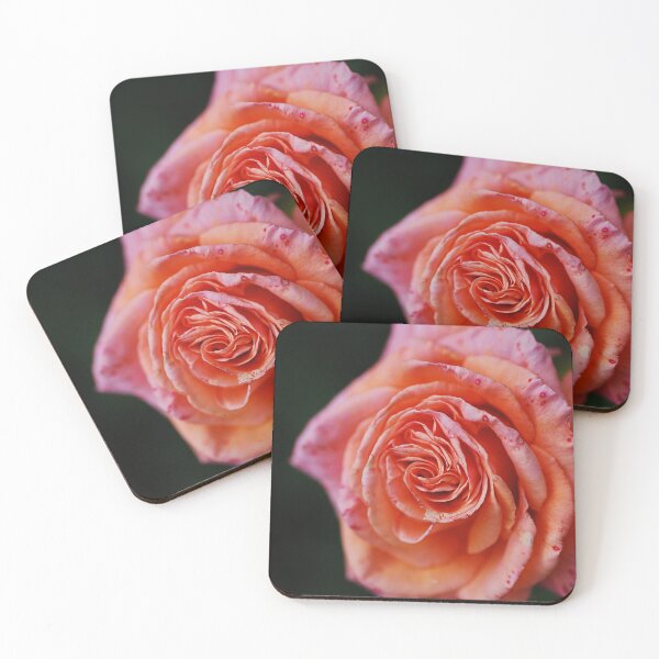Item preview, Rose Orange Pink Splash designed and sold by Joy Watson - Natural Light Photography .