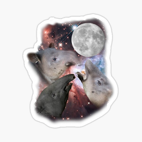 Vista previa del artículo con la obra «Three Moon Tapirs Divertida parodia de Tapir lindo», diseñado y vendido por zurnbarb.