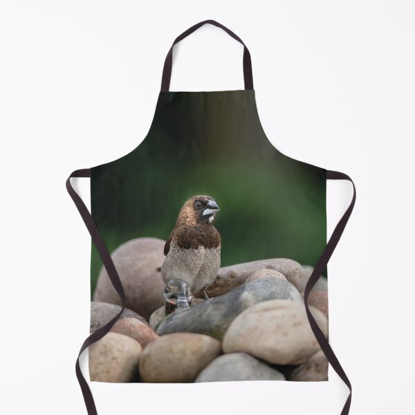 Item preview, Bengalese Finch designed and sold by rawshutterbug.