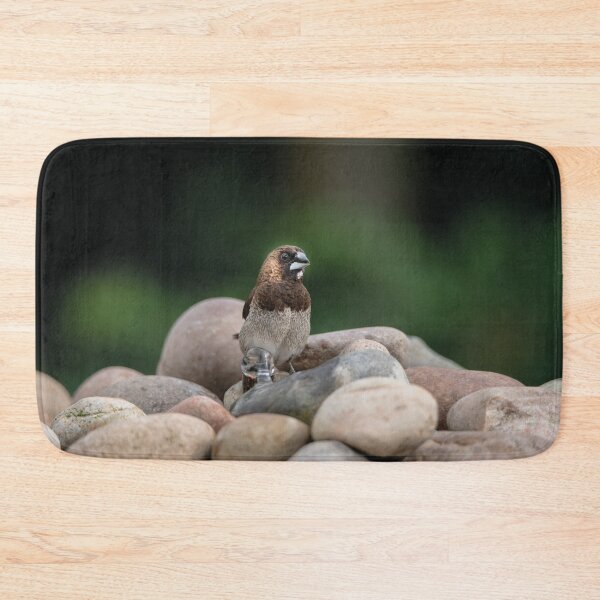 Item preview, Bengalese Finch designed and sold by rawshutterbug.