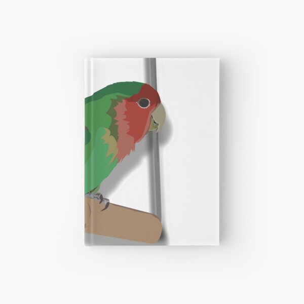 Monsieur Pinpin Carnet cartonné