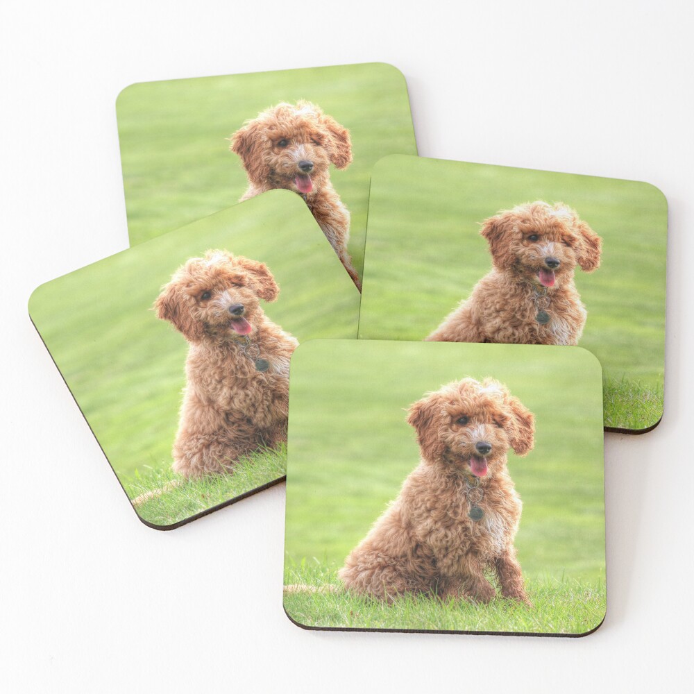 Item preview, Coasters (Set of 4) designed and sold by explorephotos.