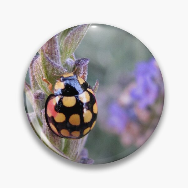Item preview, Ladybeetle moving on up designed and sold by BiodiversityRocks.
