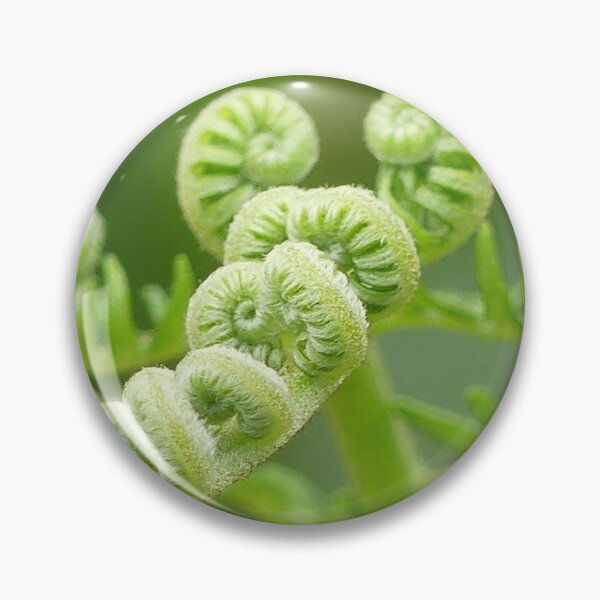 Item preview, Curly fern designed and sold by Merlin13.