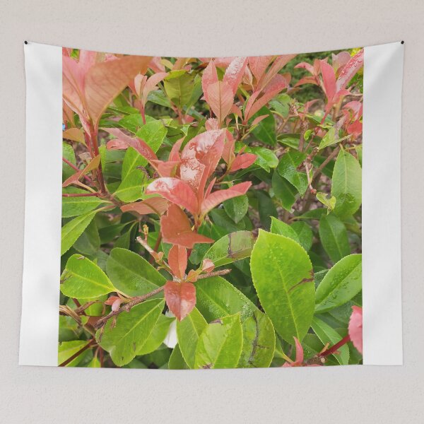 Item preview, colors of the leaves2 designed and sold by ErhanArt.