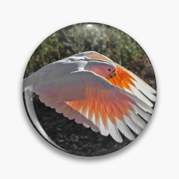 Item preview, Major Mitchell Cockatoo, Pink Cockatoo designed and sold by John Van Den Broeke.