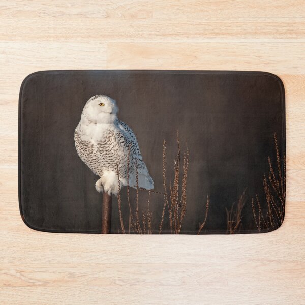 Aperçu de l'œuvre Snowy Owl créée et vendue par Owl-Images.