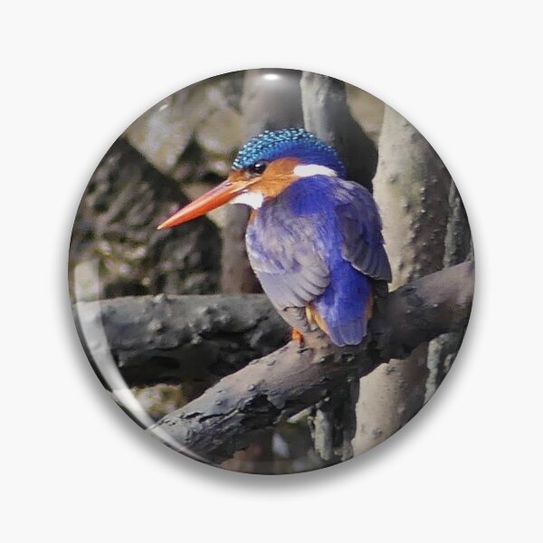 Artikelvorschau, Eisvogel entworfen und verkauft von Merlin13.