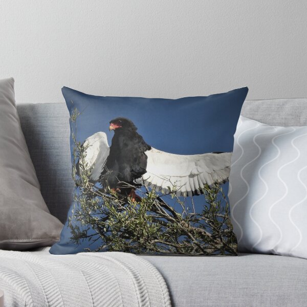 Item preview, Bateleur Eagle designed and sold by Merlin13.