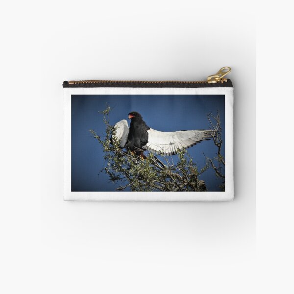 Item preview, Bateleur Eagle designed and sold by Merlin13.