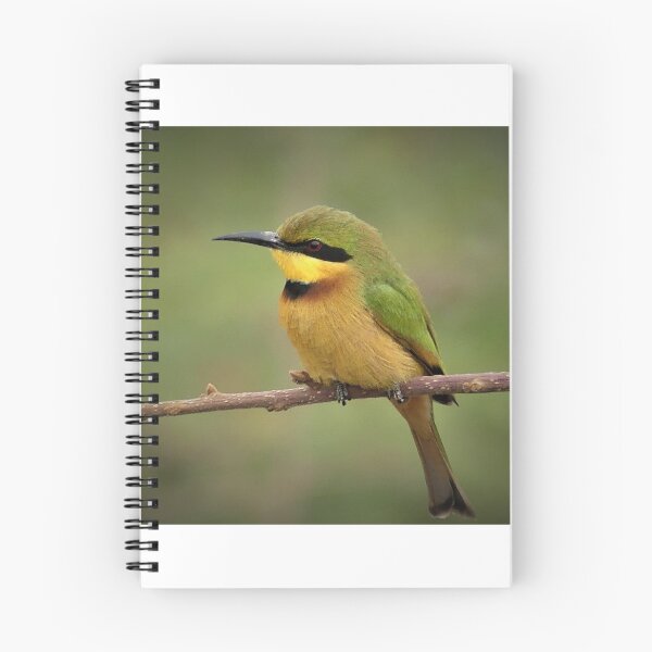 Item preview, Little bee eater designed and sold by Merlin13.