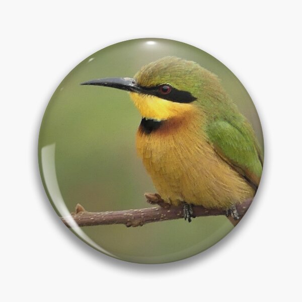 Item preview, Little bee eater designed and sold by Merlin13.