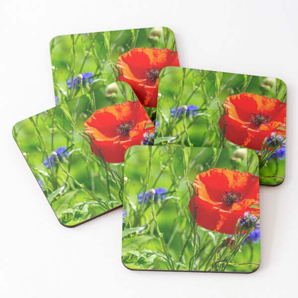 Item preview, Poppy and wild flowers designed and sold by Dalyndigital Photography.