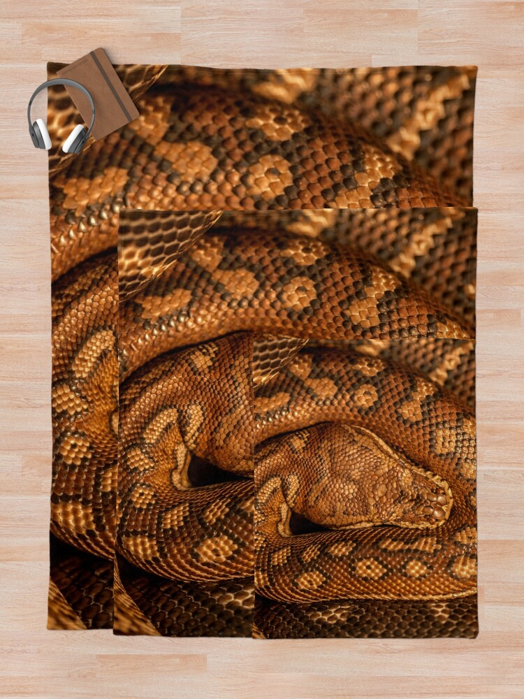 Snake on outlet blanket