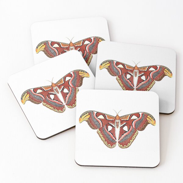 Item preview, Attacus atlas designed and sold by Photopicture.