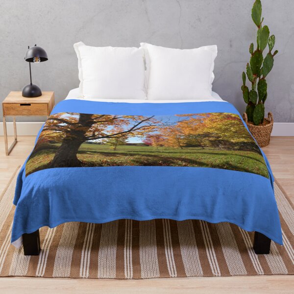 Item preview, Fall colorful woods landscape photography Nova Scotia Canada designed and sold by naturematters.