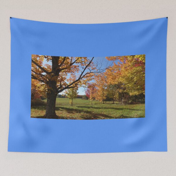 Item preview, Fall colorful woods landscape photography Nova Scotia Canada designed and sold by naturematters.
