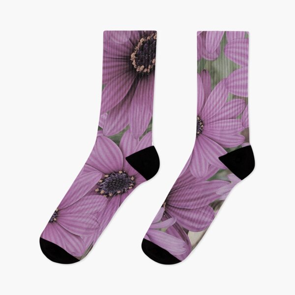 Item preview, Flower Burst. Pretty purple daisies photograph. designed and sold by LaBellCreative.