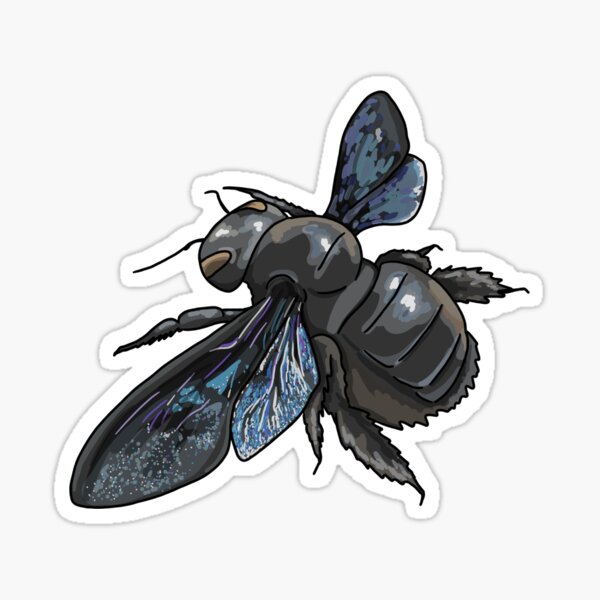 Item preview, Violet carpenter bee (Xylocopa violacea) designed and sold by Pongidae.