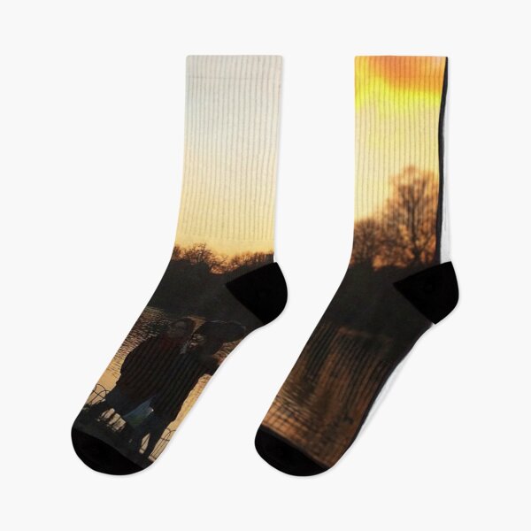 Item preview, Victoria Park at Sunset designed and sold by Madbohemianpoet.