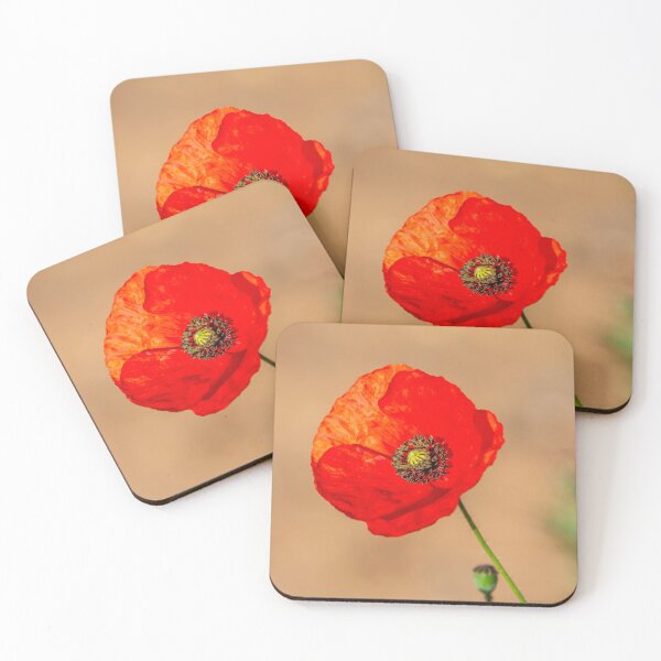 Item preview, Poppy in isolation designed and sold by Dalyndigital Photography.