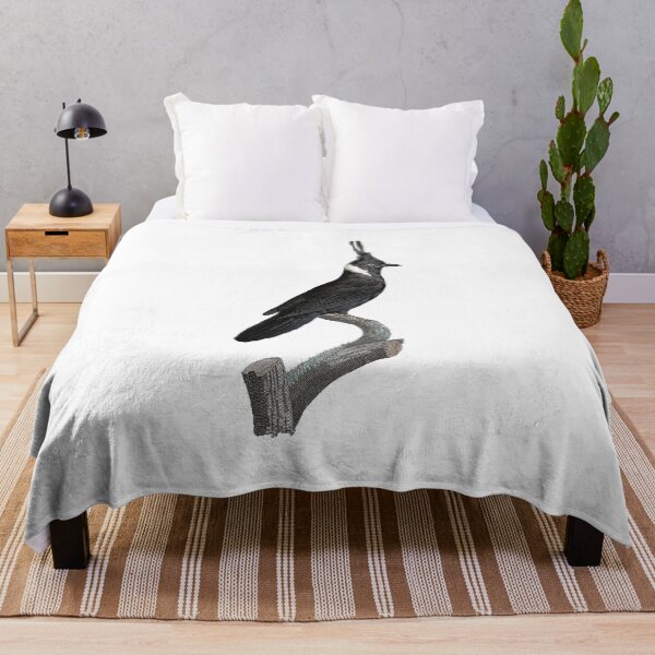 Item preview, Black Jay designed and sold by Photopicture.