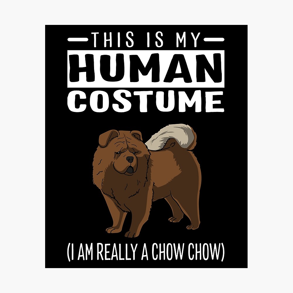 chow chow costume