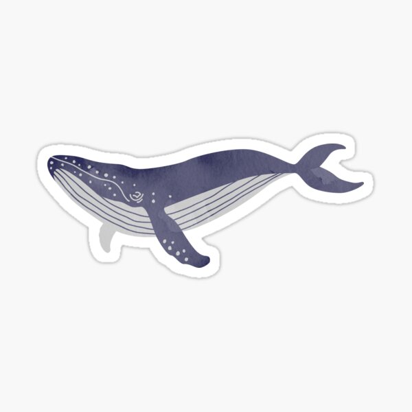Larry Whale Sticker