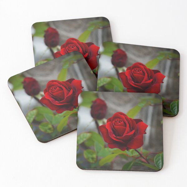 Item preview, Little Prince Red Rose designed and sold by ALEX PHOTO DREAMS.