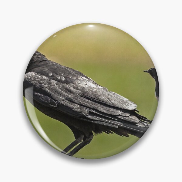 Item preview, The Crow and the Willy Wagtail designed and sold by John Van Den Broeke.