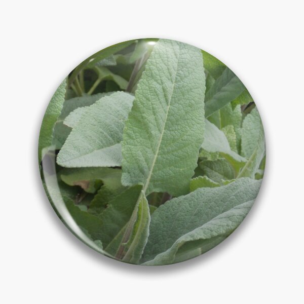 Item preview, Common Mint Leaves  designed and sold by Naomi80.