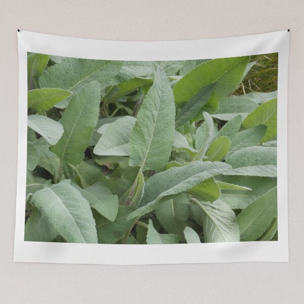 Item preview, Common Mint Leaves  designed and sold by Naomi80.