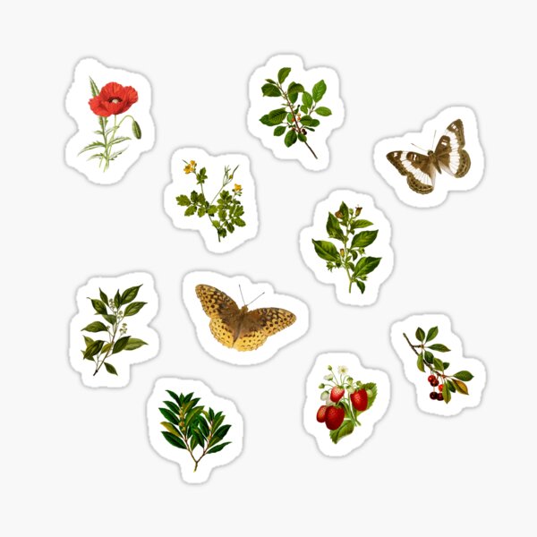 Vintage Botanical pack 3 Sticker for Sale by Ranp