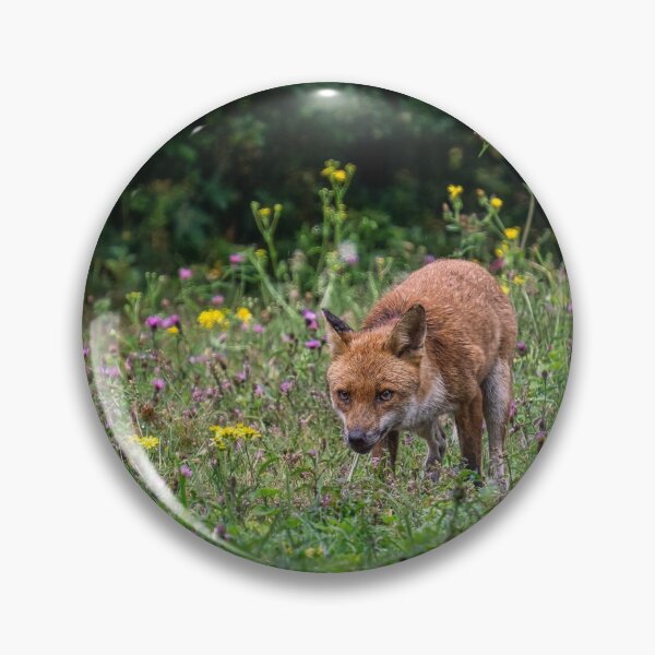 Item preview, Sly Fox designed and sold by Alan Dukes.
