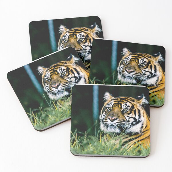 Item preview, Tiger designed and sold by Alan Dukes.