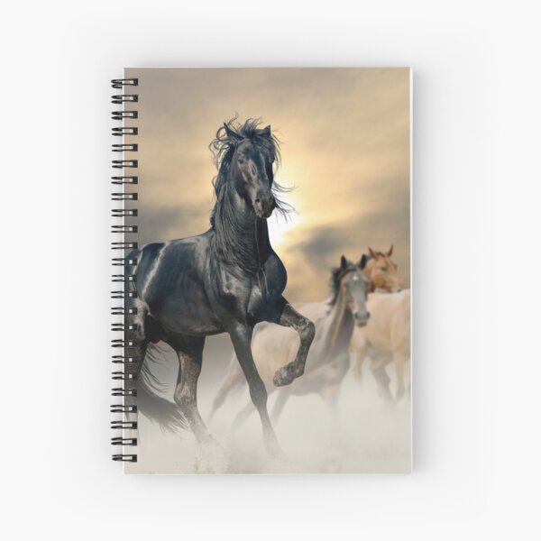 Cahier de dessins à spirale cheval 900015275