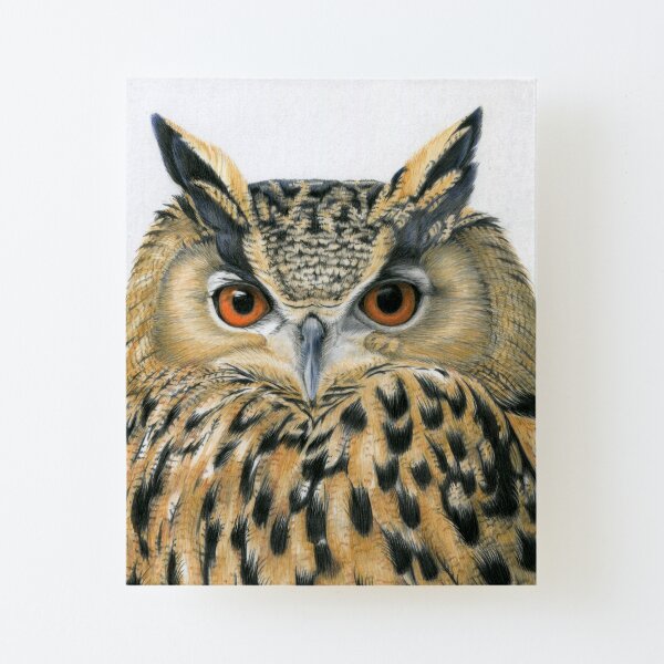 Eagle Owl Canvas Mounted Print