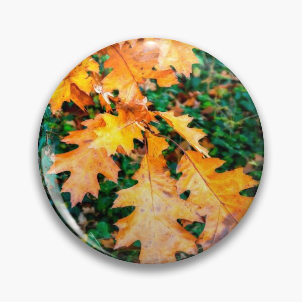 Item preview, Seasonal Colour designed and sold by ScenicViewPics.